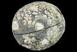 Las Choyas Coconut Geode with Smoky Amethyst & Calcite - Mexico #145860-3